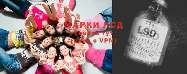 прущие грибы Горно-Алтайск